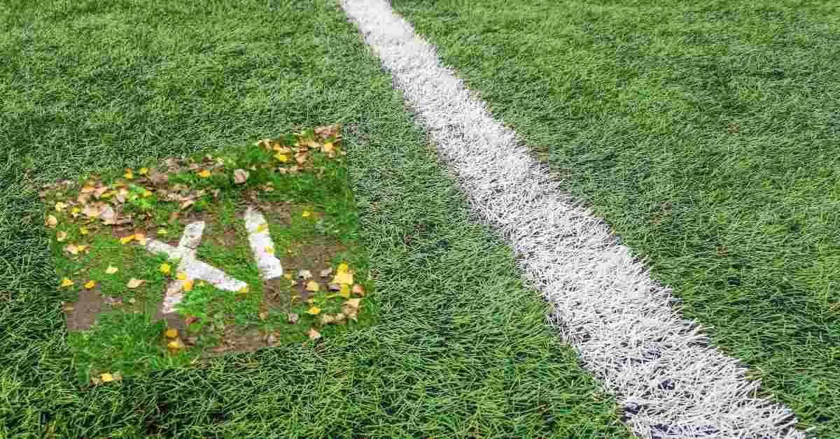 Spray Paint Kill Lawn at Diane Hayslett blog