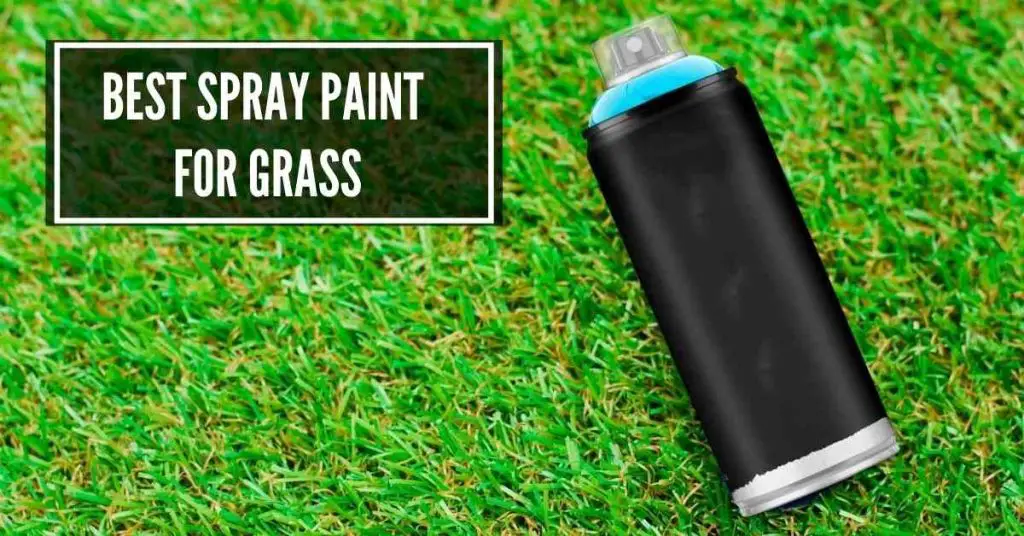 Best Spray Paint for Grass