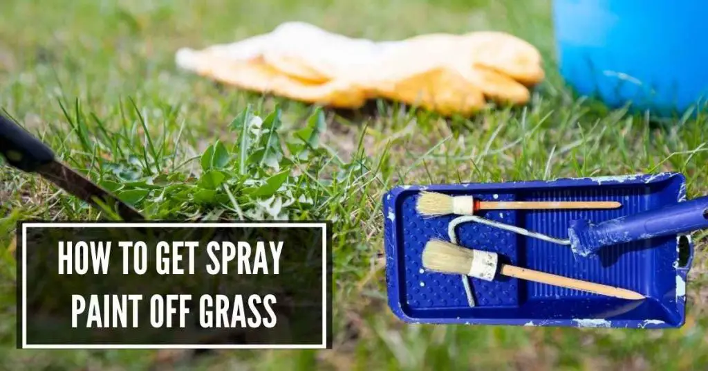 How to Get Spray Paint Off Grass