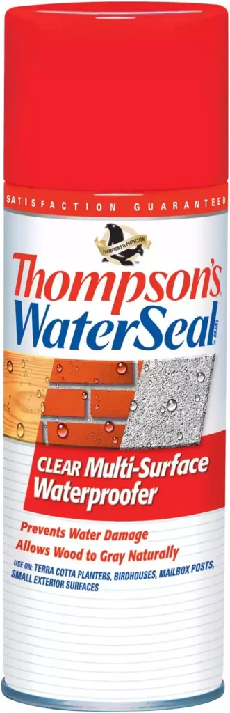 Thompson's Water Seal Aerosol